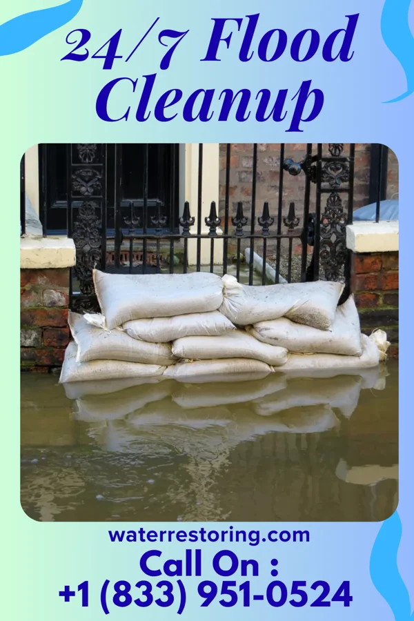 24/7 Flood Cleanup in Sneads, FL