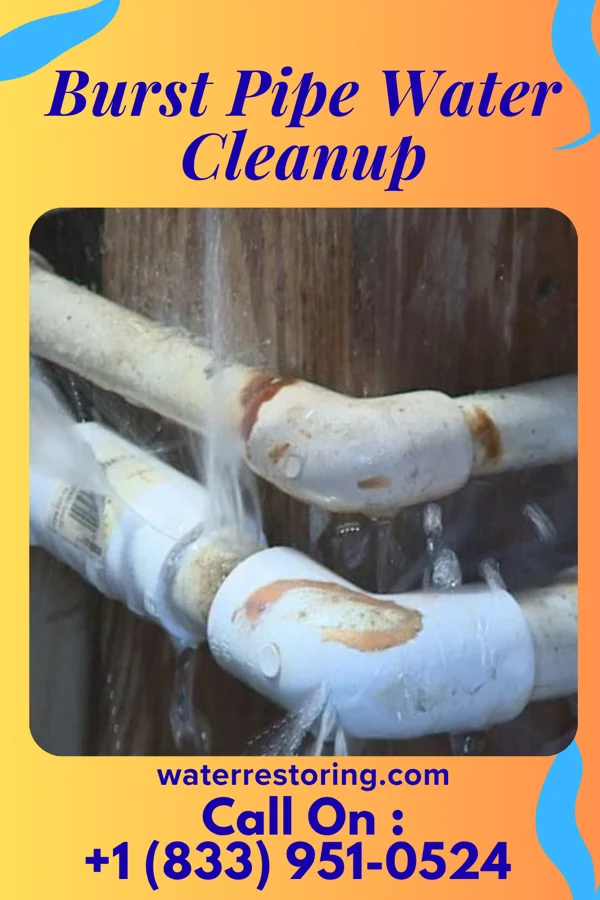 Burst Pipe Water Cleanup in Sneads, FL