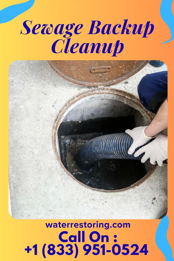 Sewage Backup Cleanup in Sneads, FL